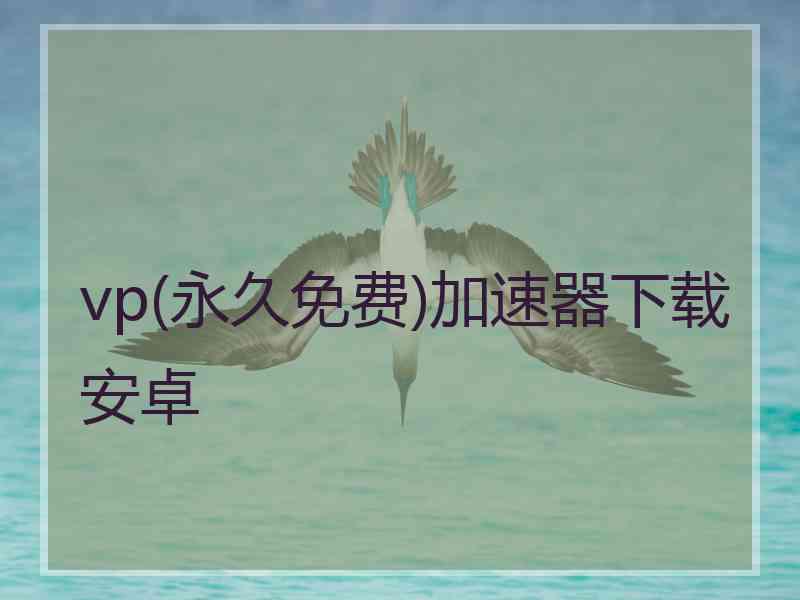 vp(永久免费)加速器下载安卓