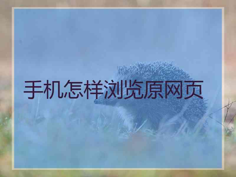 手机怎样浏览原网页