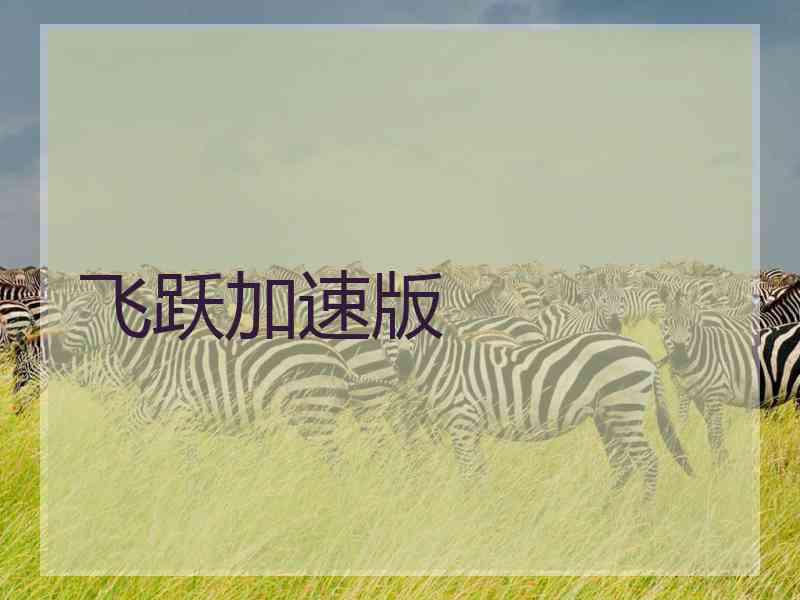 飞跃加速版