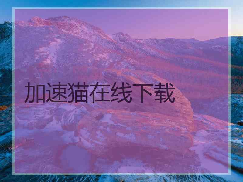 加速猫在线下载