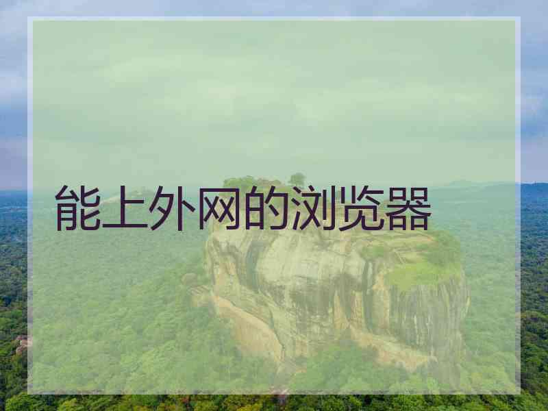 能上外网的浏览器