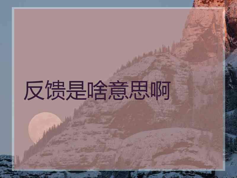反馈是啥意思啊