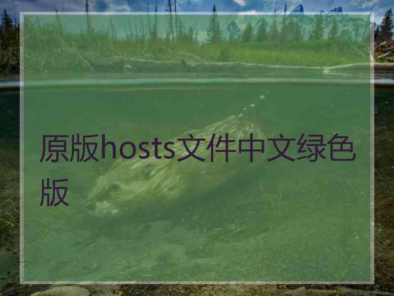 原版hosts文件中文绿色版