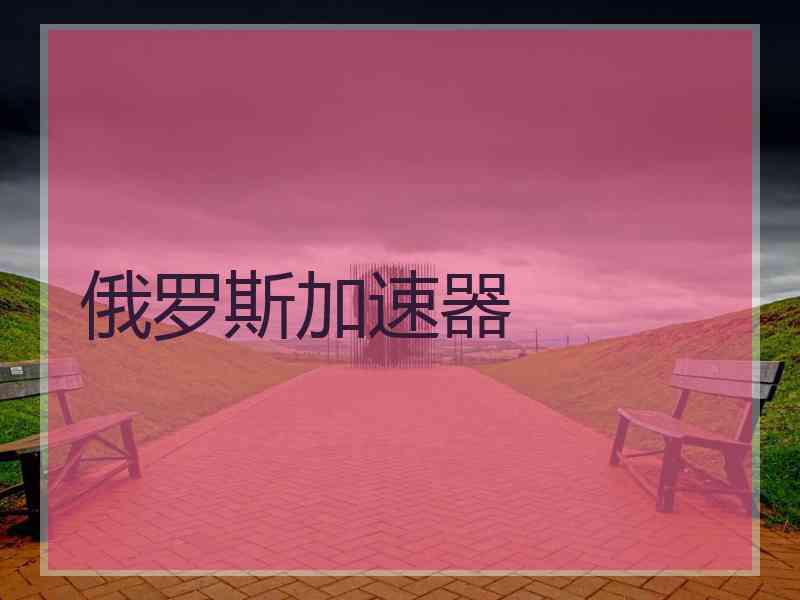 俄罗斯加速器