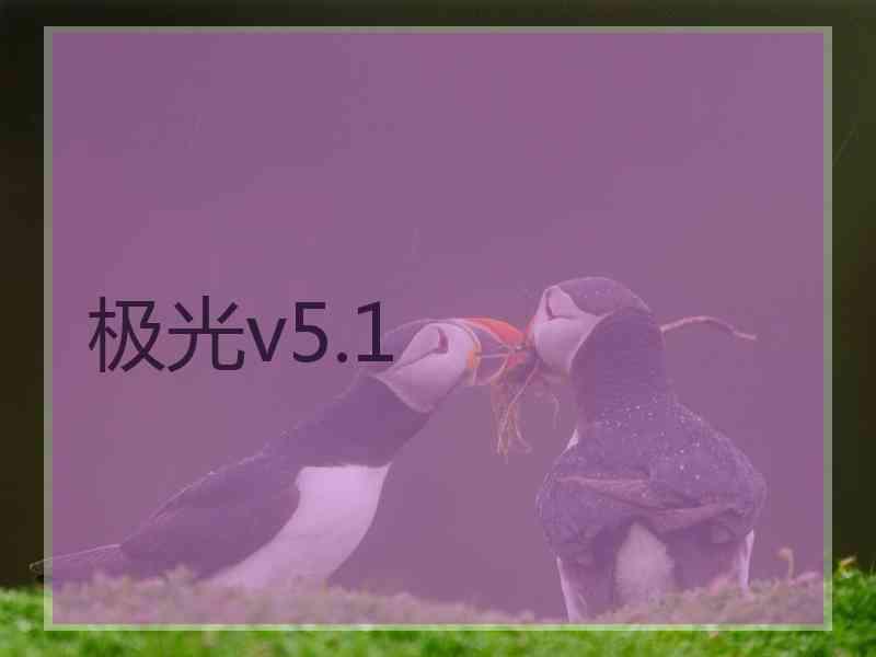 极光v5.1