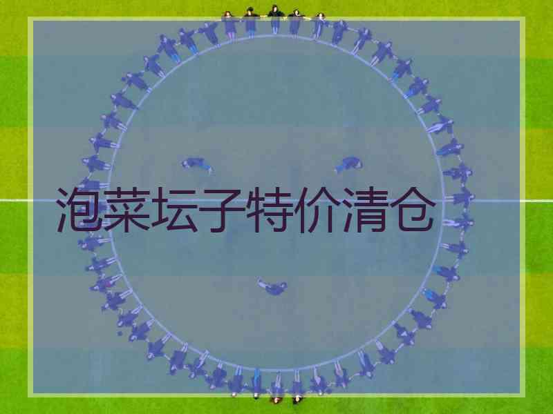 泡菜坛子特价清仓
