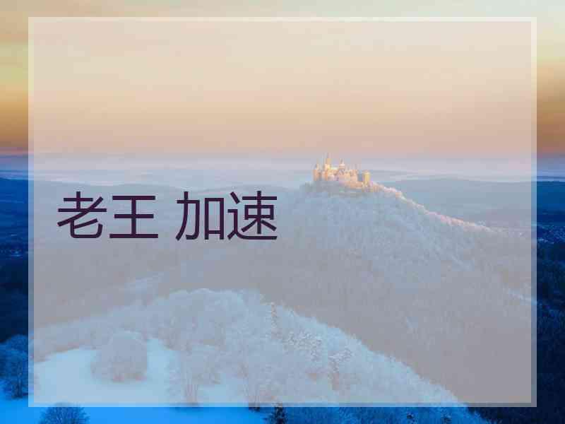 老王 加速