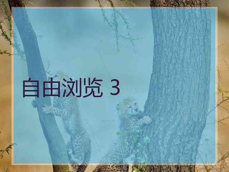 自由浏览 3