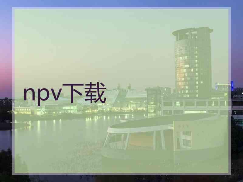npv下载