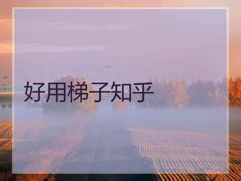 好用梯子知乎