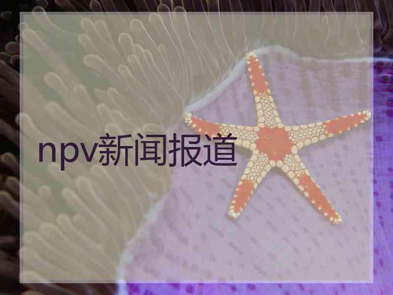 npv新闻报道