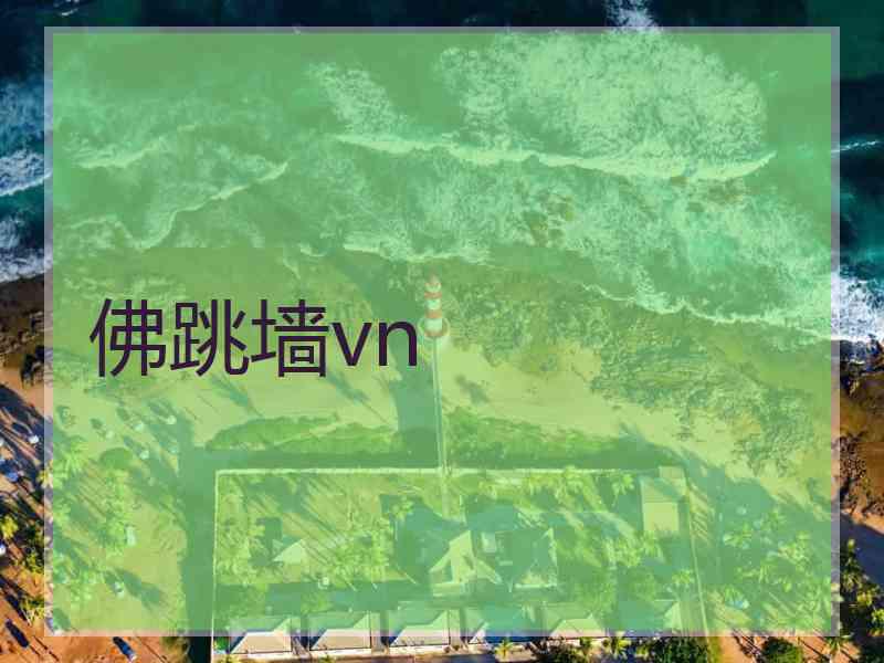 佛跳墙vn