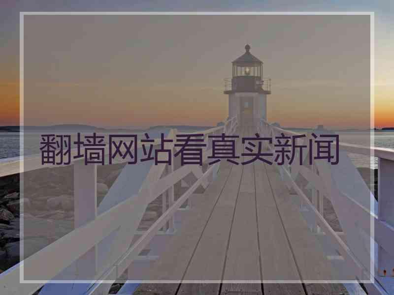 翻墙网站看真实新闻