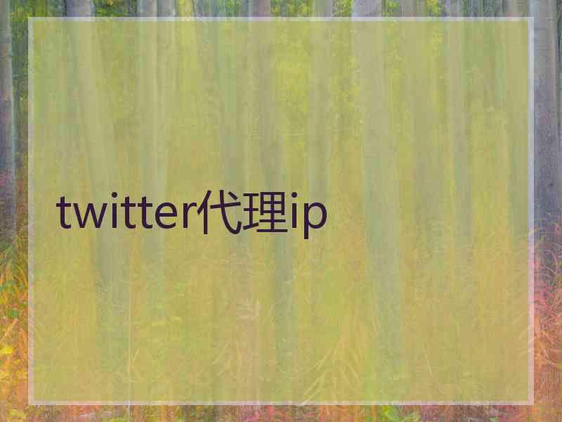 twitter代理ip
