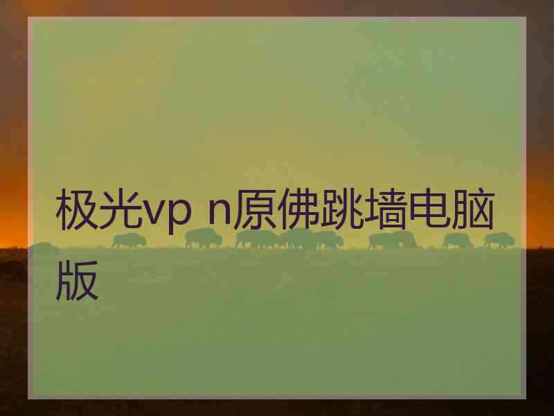 极光vp n原佛跳墙电脑版