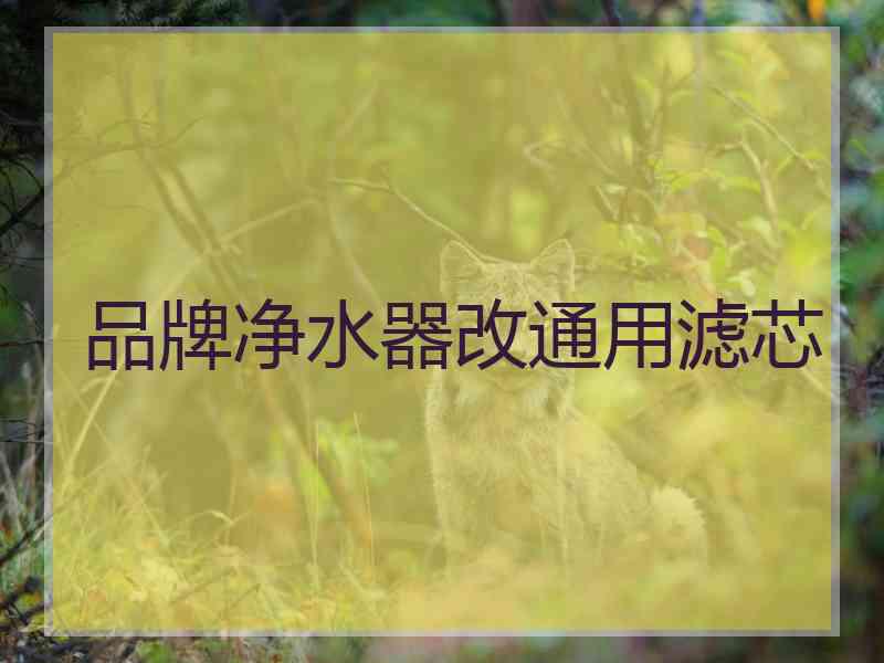 品牌净水器改通用滤芯