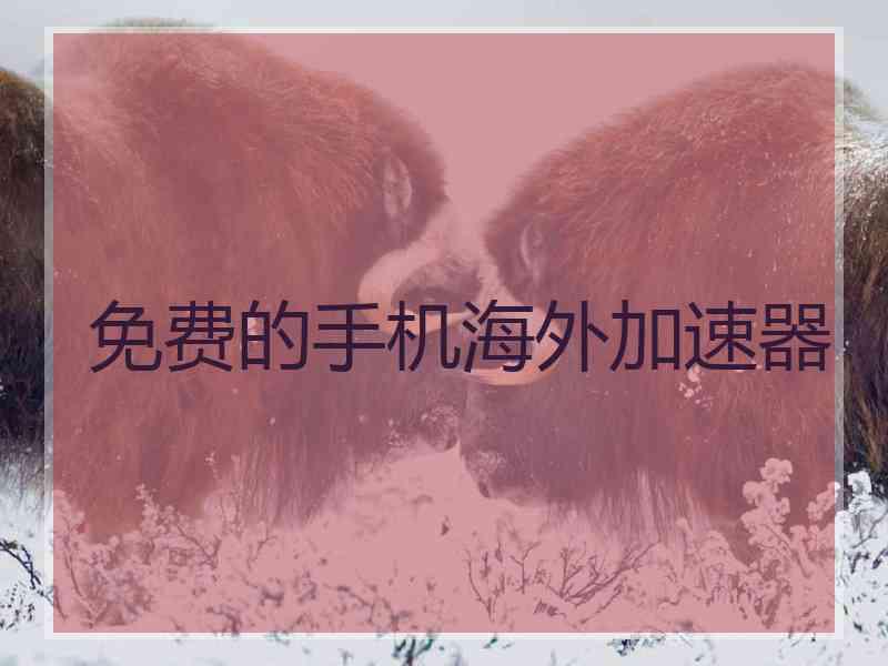 免费的手机海外加速器