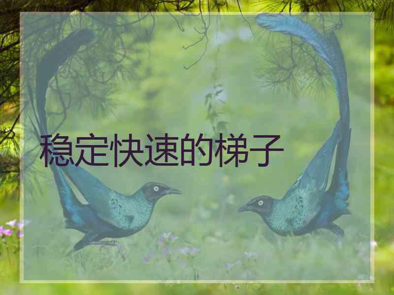 稳定快速的梯子