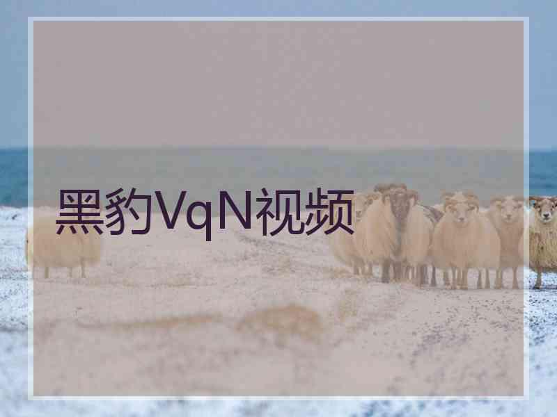 黑豹VqN视频