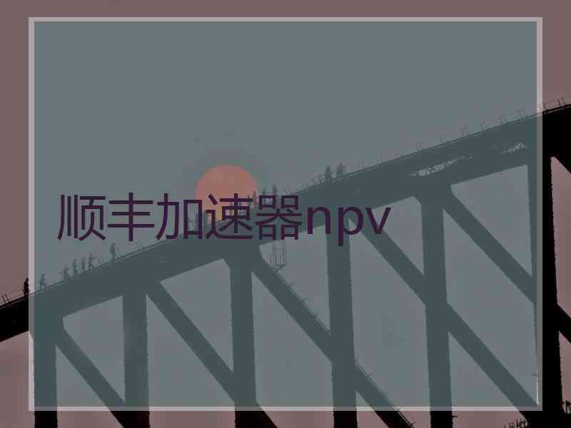 顺丰加速器npv