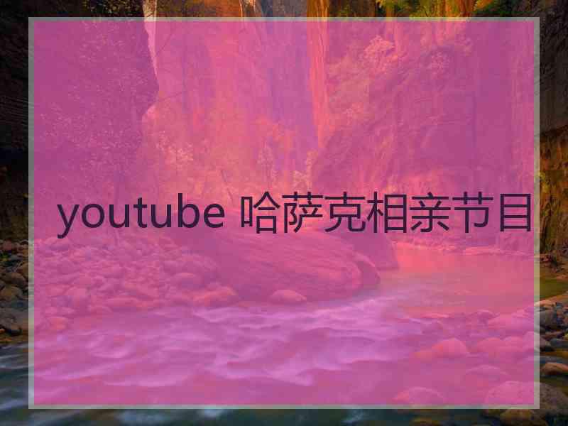 youtube 哈萨克相亲节目
