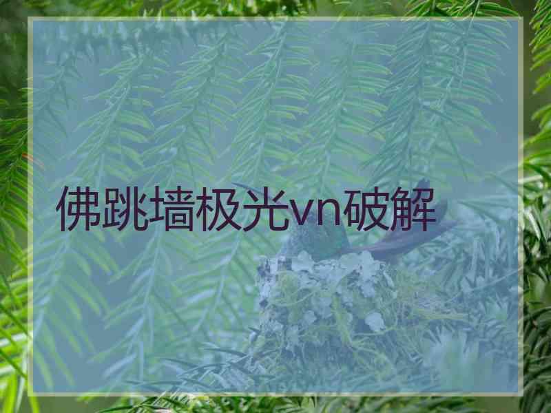 佛跳墙极光vn破解