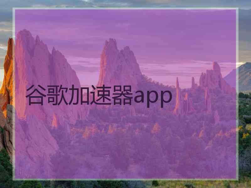 谷歌加速器app