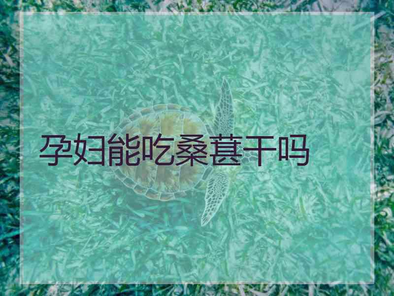孕妇能吃桑葚干吗