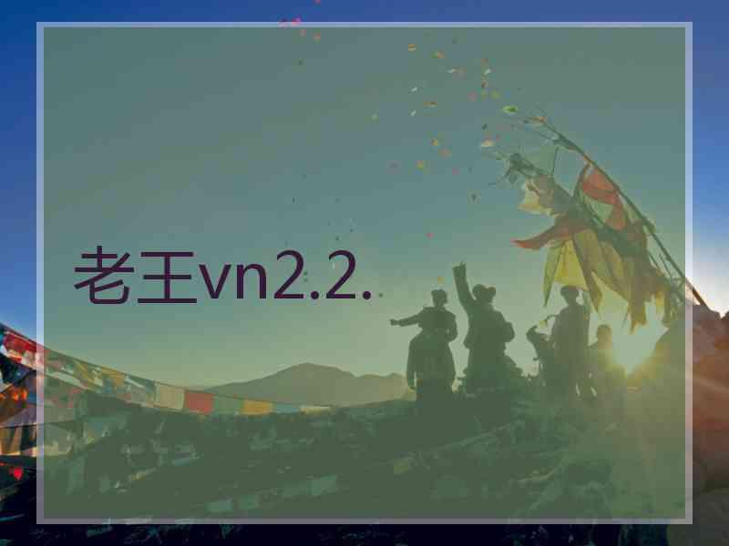 老王vn2.2.