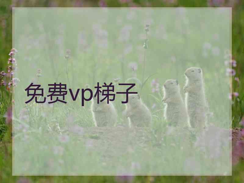 免费vp梯子
