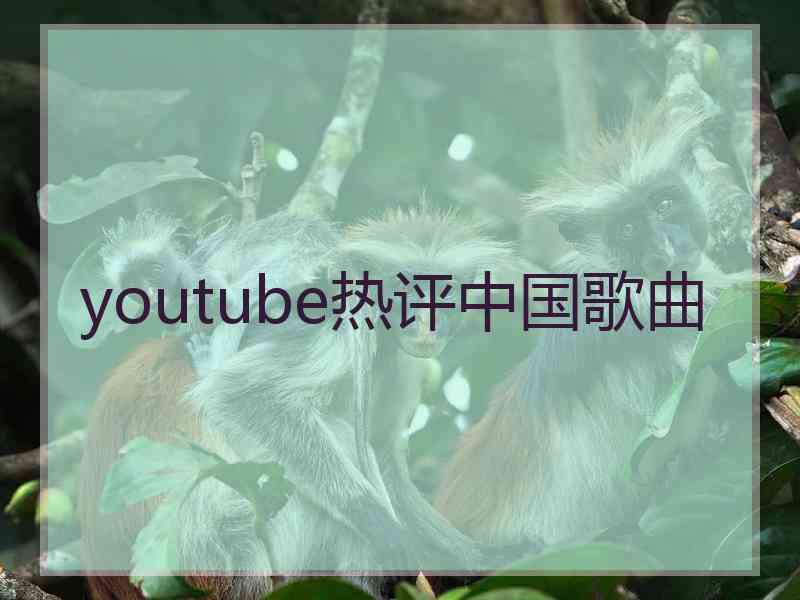 youtube热评中国歌曲