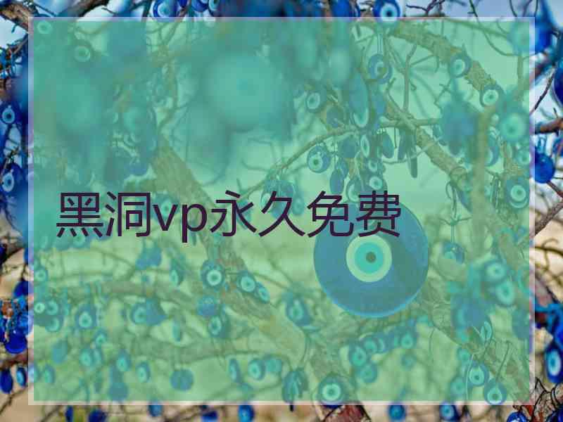 黑洞vp永久免费