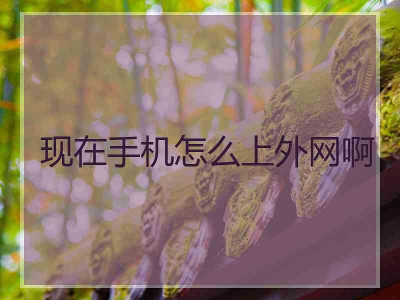 现在手机怎么上外网啊