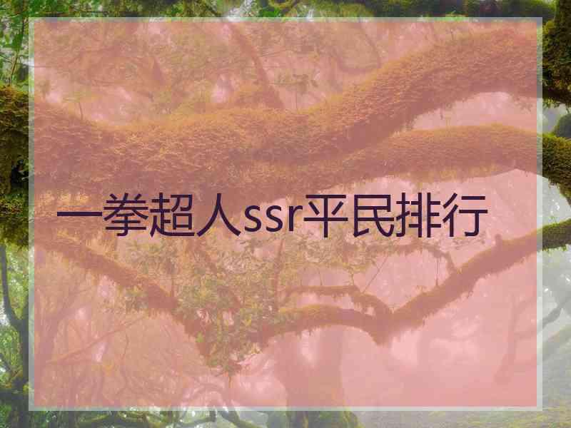 一拳超人ssr平民排行