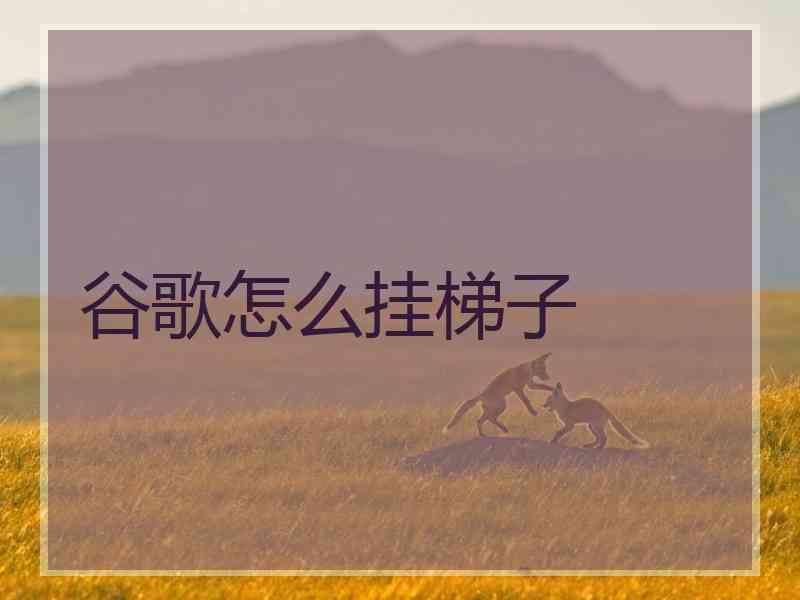 谷歌怎么挂梯子