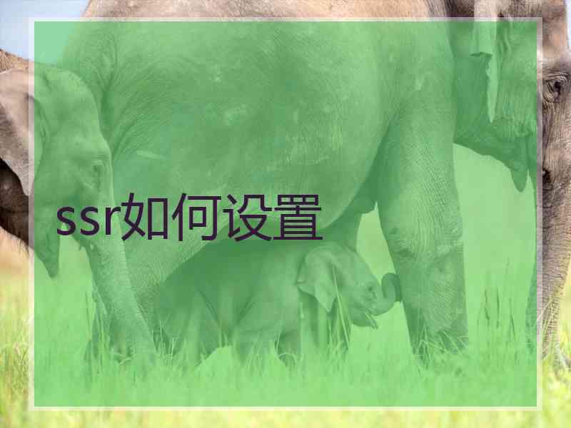 ssr如何设置