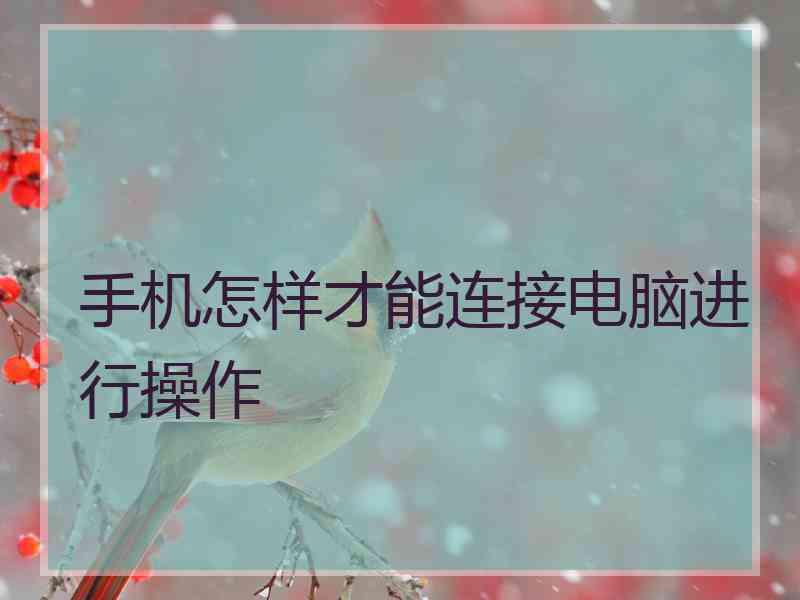 手机怎样才能连接电脑进行操作