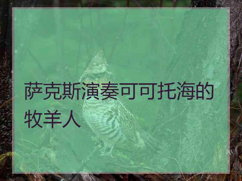 萨克斯演奏可可托海的牧羊人