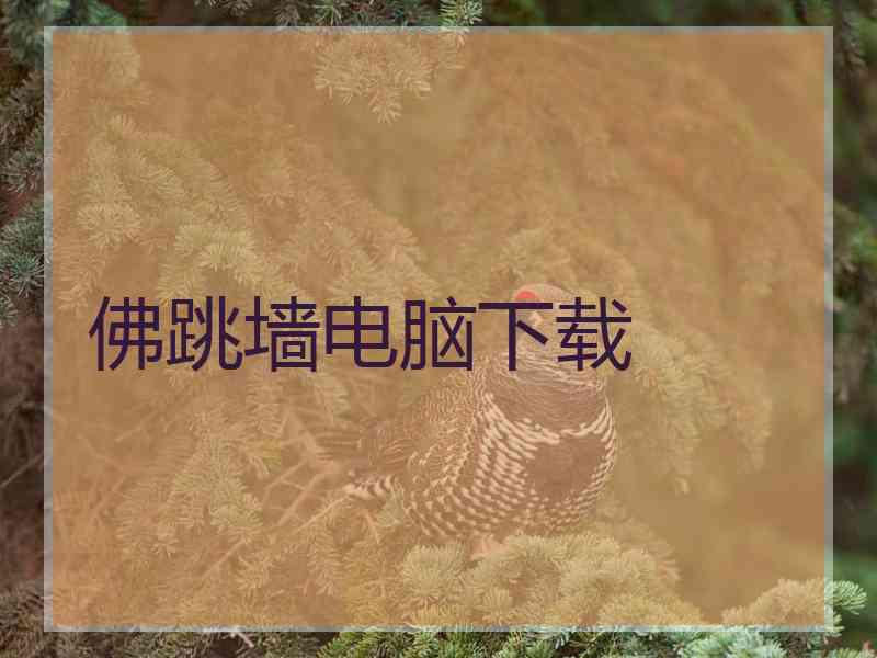 佛跳墙电脑下载