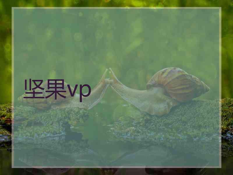 坚果vp