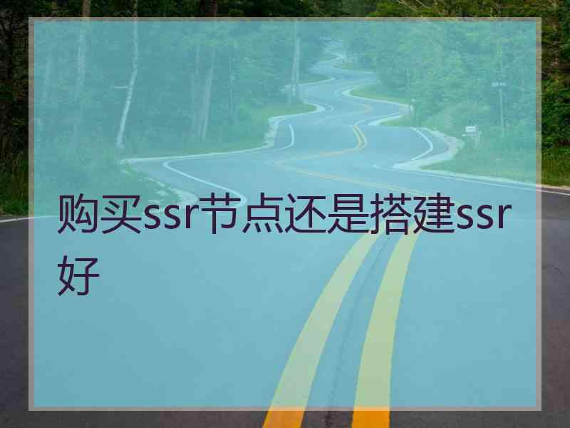 购买ssr节点还是搭建ssr好