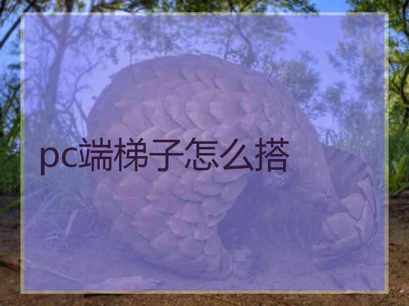 pc端梯子怎么搭