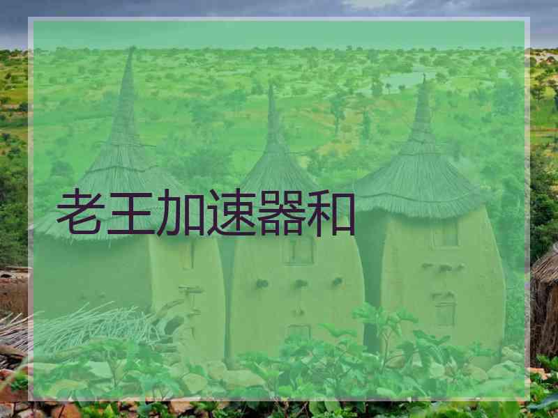 老王加速器和