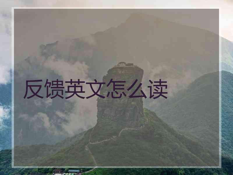 反馈英文怎么读