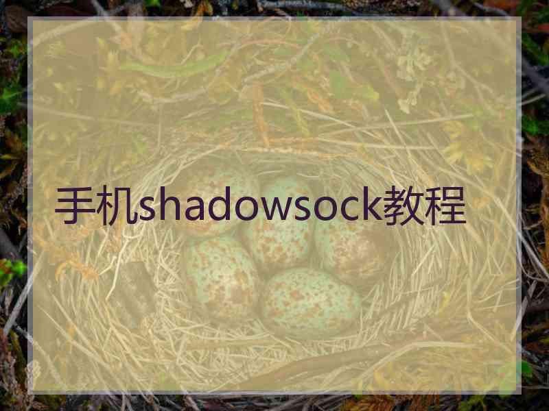 手机shadowsock教程