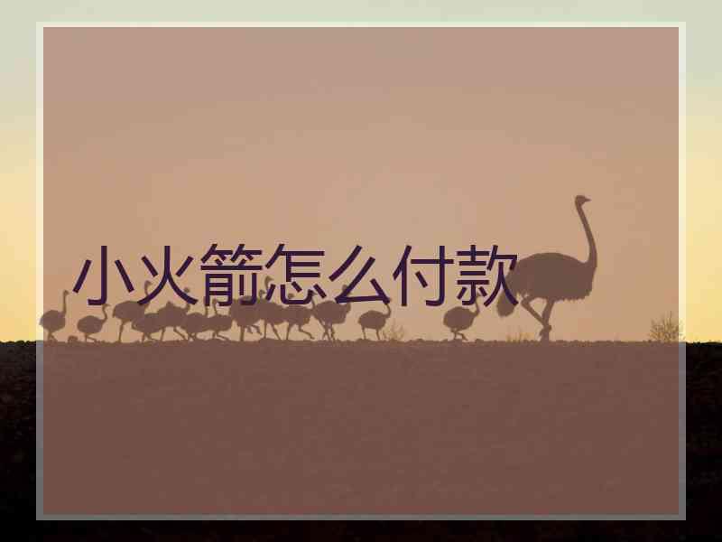 小火箭怎么付款