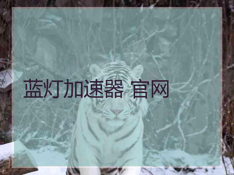 蓝灯加速器 官网