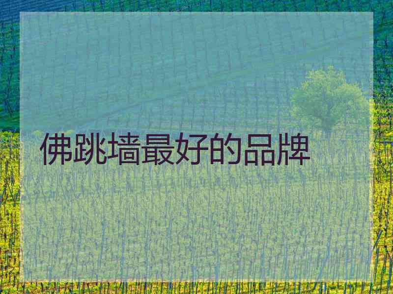 佛跳墙最好的品牌
