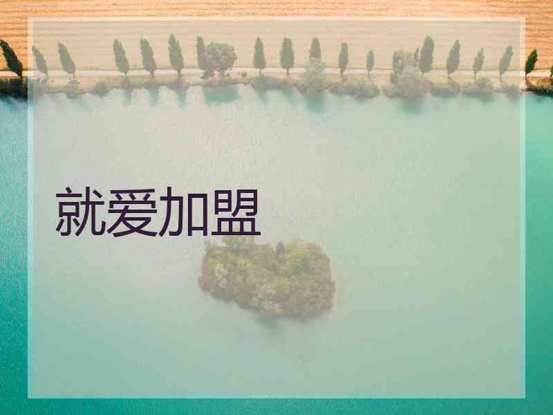 就爱加盟