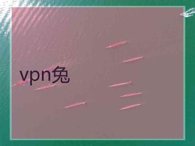 vpn兔